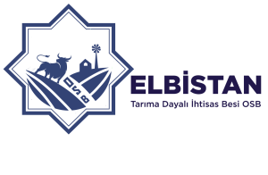 c233c2e99df3ffaea6ff20497034a9e8 300x196