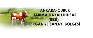 ANKARA CUBUK 300x123
