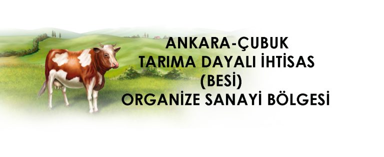 ANKARA CUBUK 768x314