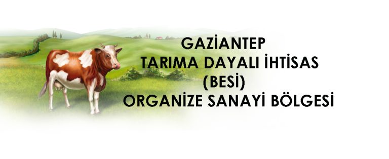GAZIANTEP 768x314
