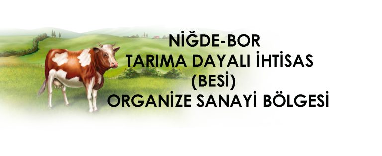 Nigde bor 3 768x314