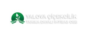 yalova 300x131