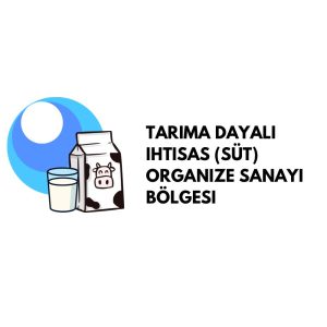 WhatsApp Image 2026 01 12 at 15.17.41 300x300