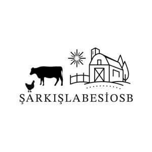 WhatsApp Image 2026 01 13 at 11.53.52 300x300