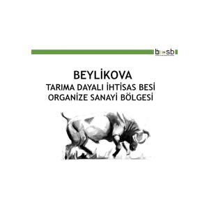 WhatsApp Image 2026 01 14 at 11.20.17 300x300