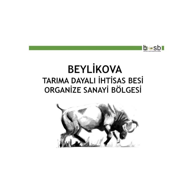 WhatsApp Image 2026 01 14 at 11.20.17 768x768