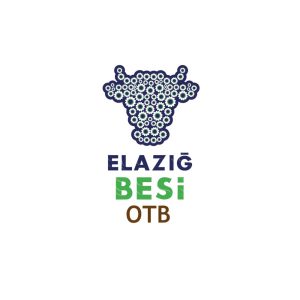 WhatsApp Image 2026 01 15 at 10.31.48 300x300