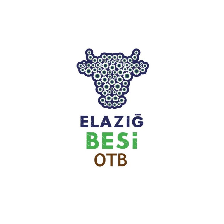 WhatsApp Image 2026 01 15 at 10.31.48 768x768