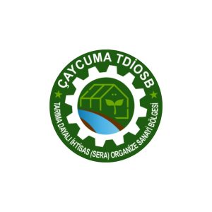 WhatsApp Image 2026 01 15 at 10.57.20 300x300