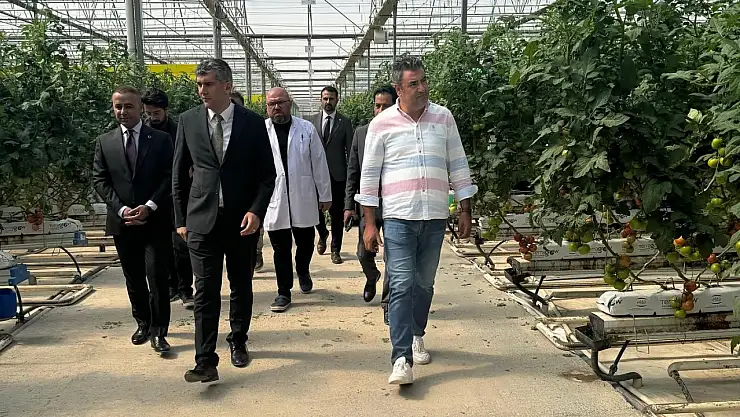 Ağrı Diyadin TDİOSB